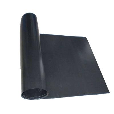 China Modern Special Hot Sale Plastic Geomembrane Pond Waterproof HDPE for sale