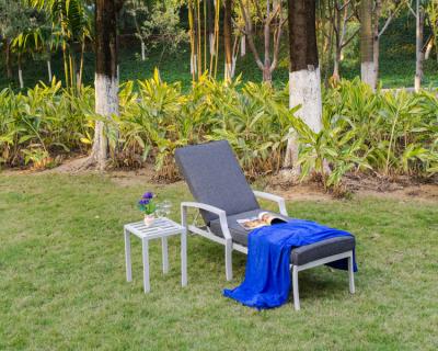 China Water Resistant IVY Holiday Lounge Chair Fashionable Outdoor Garden Furniture Enjoy Sun Lounger Leisure Chair Set With Aluminum for sale