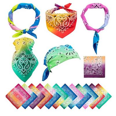 China Wholesale Free Sample Soft Soft Soft Feeling Soft Feeling Provided Custom Kids Hair Women Cotton Paisley Bandana Pattern Luxury Scarf for sale