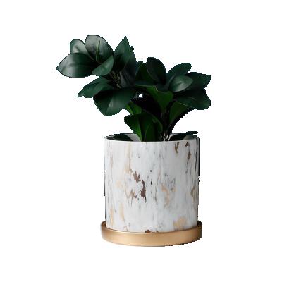 China Modern Marble Plant Pots Marble Planter Pots Marble Pot Flower With Gold Saucer For Home Decoration for sale