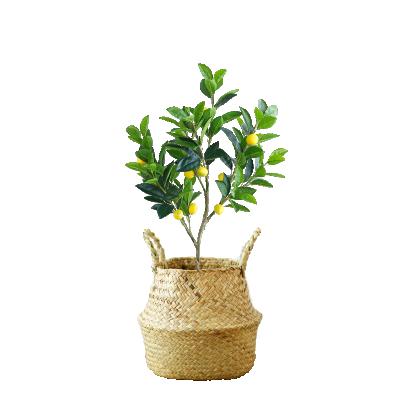 China Modern Decorative Round Indoor Outdoor Planter Containers Garden Planter Plastic Rattan Flower Pots for sale