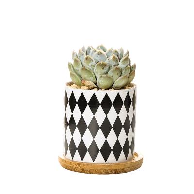 China Small Modern Geometric Design Ceramic Succulent Planter Pot With Wood Tray for sale