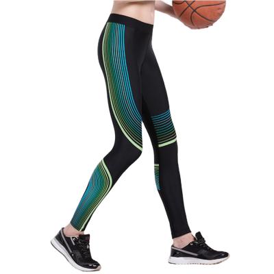 China Business Breathable Discount Prices Fashion Quick Drying Women Long Pants Sports Jogging Sports Panties for sale