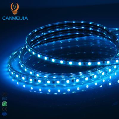 China 220V LANDSCAPE Color Changing Waterproof Flexible Light For Decoration Led Strip Light, RGB Led Strips, 5050 RGB Led Strip Light for sale