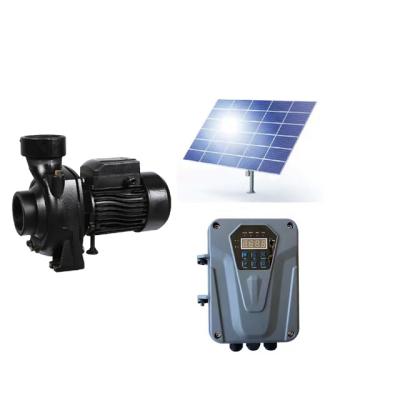 China Solar Irrigation And Agriculture DC Pump 48v Solar Water Pump For Surface for sale