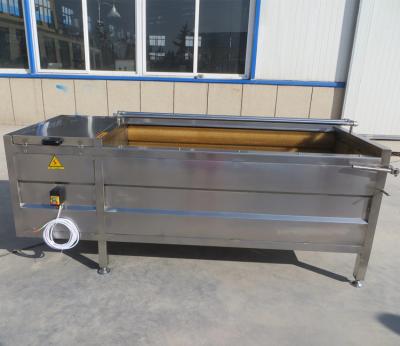 China High Efficiency Easy Operate Ginger Processing Machine Carbon Brush Washing Machine for sale