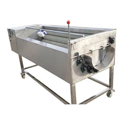 China High Efficiency Easy Operate Cucumber Brush Washing Machine Ginger Processing Machine for sale