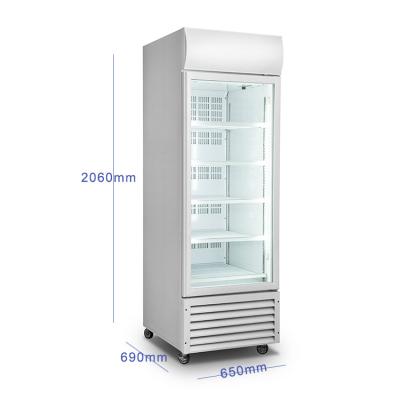 China Single-temperature 360L capacity KK compressor digital control glass door display freezer for sale