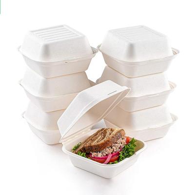 China Disposable Free Sample Cheap ECO friendly disposable food packaging boxes packing containers for food for sale