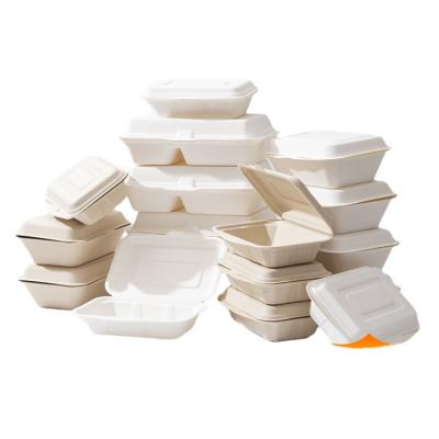 China Disposable Disposable free sample Biodegradable Sugarcane Bagasse Certified Sugar Cane Pulp Food Container Lunch Box for sale