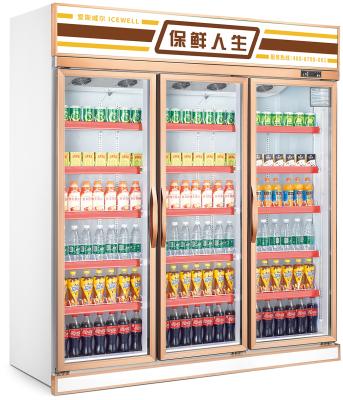 China Single-temperature Refrigeration Equipment Commercial Display Door Supermarket Beverage Rack Refrigerator Display Freezer for sale