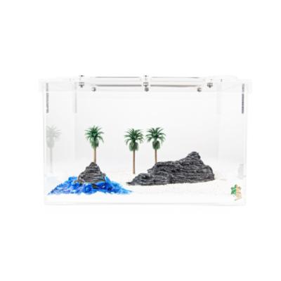 China Viable Palm Trees Ant Formicarium Bedroom Decor from Beach Design for sale