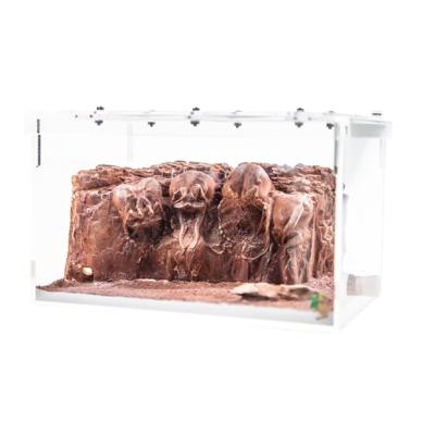 China High Quality Viable Red Acrylate Ant Nest Formicarium Desert Box for sale