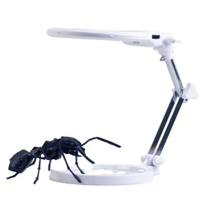 China Educational Ant Lovers Ant Insect Magnifying Holder for Carrying Equipment Insect for sale