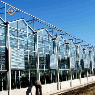 China Vegetable Easy-to-install ventilation system multi-span greenhouse for agriculture for sale