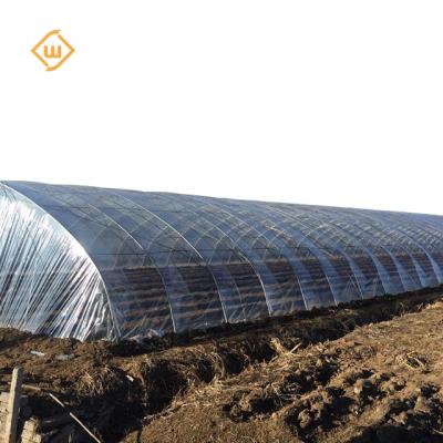 China Vegetable hot dip galvanized steel pipe frame single-span greenhouse for agriculture for sale