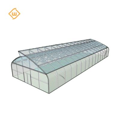 China Single-span vegetable hot selling greenhouse for agriculture for sale