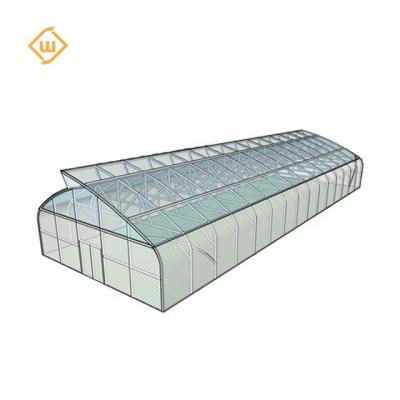 China Vegetable Agricultural Single Tunnel Strawberry Greenhouse Green Span House for sale