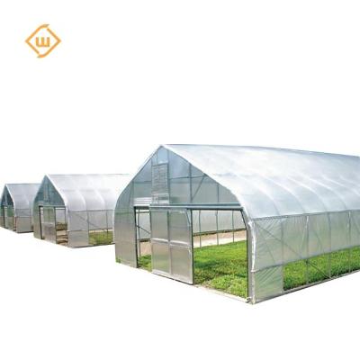 China Backyard Vegetable Greenhouses Large Garden Low Cost Indoor Plant Grow Greenhouse For Agricultural for sale