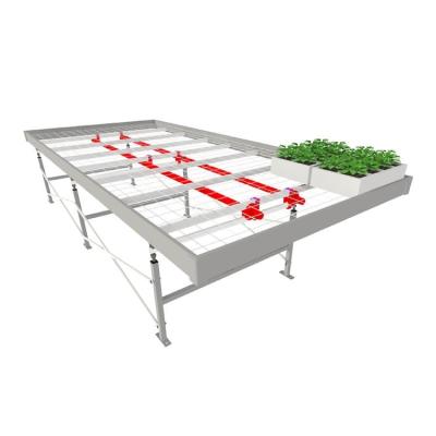 China Movealbe Mesh Rolling Table /Bench Wholesaler Greenhouse Seedling Wire For Hydroponic System for sale