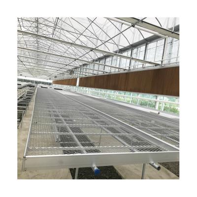 China Agricultural Steel Greenhouse Irrigation And Soilless Cultivation Wire Mesh Galvanized Rolling Benches for sale