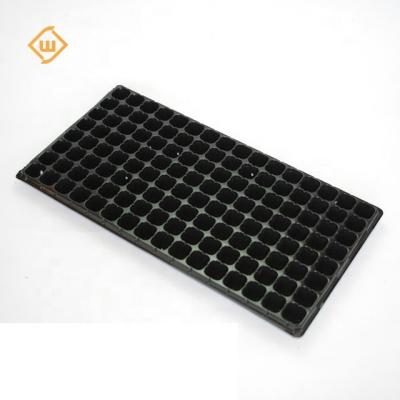 China Forestry Hydroponic Polystyrene Plastic Cells Sprouter Plug In Seedling Grow Tray for sale