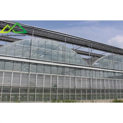 China Stable Structure Easily Assembled Green House Commercial Multi-span Agricultural Greenhouses With Hydroponic System for sale