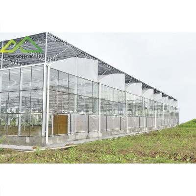 China Stable Structure Easily Assembled Agricultural Air FIM Sawtooth Greenhouses Glass And Plastic Structure With Hydroponic System for sale