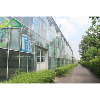 China Stable Structure Easily Assembled Intelligent Control High End Venlo Glass Greenhouses With Cooling System for sale