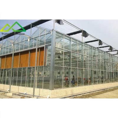 China Stable Structure Easily Assembled Green House Metal Frame Multi Span Intelligent Control Venlo Glass Greenhouse With Rolling Bench for sale