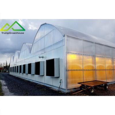 China Stable Structure Easily Assembled Agriculture Light Deprivation Greenhouse Blackout Greenhouses Tunnel Green House With Protection And Cooling Exhaust Fans for sale