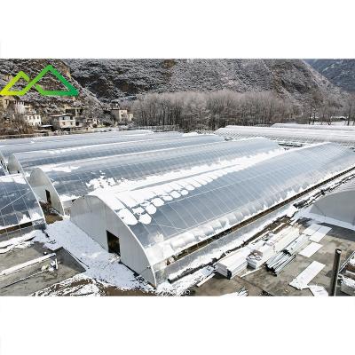 China Stable Structure Easily Assembled Customized Agriculture Greenhouse Film Tunnel Greenhouse With Heavy Snowfall for sale