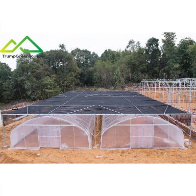 China Stable Structure Easily Assembled Polycarbonate Polytunnel Transparent Vegetable Greenhouse With Exterior Shading System for sale