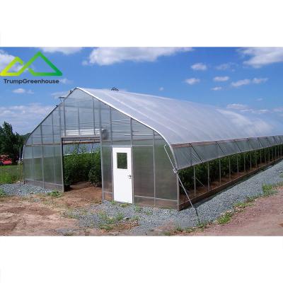 China Stable structure easily assembled circuit board agriculture greenhouse high tunnel greenhouse for sale 9*30 for sale