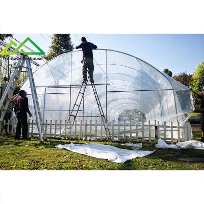 China Stable Structure Easily Assembled Greenhouse Hot Galvanized Steel Single-Span Tunnel Greenhouses Agricultural Plastic Sheet for sale