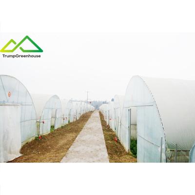 China Stable Structure Easily Assembled High Span Tunnel Winter Greenhouse Film Single Tunnel Circuit Board Commercial Greenhouse for sale