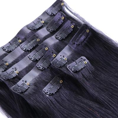 China Changshunfa Silky Straight Wholesale Brazilian Hair Seamless PU Wave Clip In Hair Extensions for sale