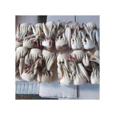 China Various Good Quality FROZEN Cutting Swimming Crab Frozen Delicious Swimming Crab for sale