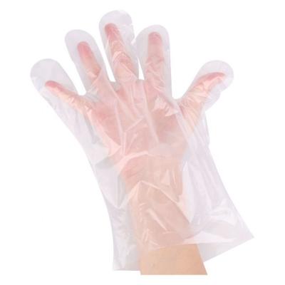 China House Kitchen Cleaning Clean Kitchen Wholesale Household Food Grade Vinyl Gloves Powder Free PVC Gloves Vinyl Gloves for sale