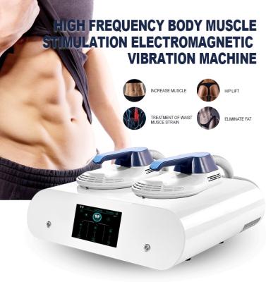 China Portable ems body sculpting machine home use 2 handles cellulite reduction rf skin tightening body sculpting machine for sale