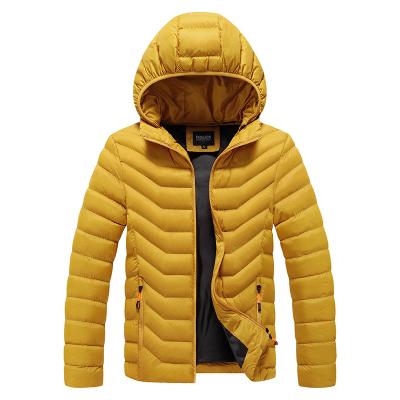 China Anti-Wrinkle Winter Mens Warm Jacket Customized Light Weight Down Jacket Mens Long Sleeve Stripper Jacket for sale