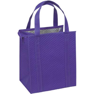 China Thermal High Quality Therm-Tote Insulated Non Woven Grocery Bag Cooler Cooler Bag for sale