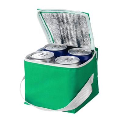 China Logo High Quality Non Woven Customized Thermal Insulated Cooler Bag For Lunch for sale