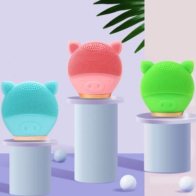 China Mini Portable Face Massager Waterproof Electric Sonic Double Dual Side Silicone Acne Treatment Face Cleansing Brush for sale