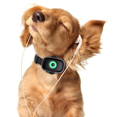 China 4G Pet GPS Tracker Collar Real Time Location Tracking Device Dogs Cats IP66 Waterproof GPS Tracker For Global Tracking OC-13 for sale