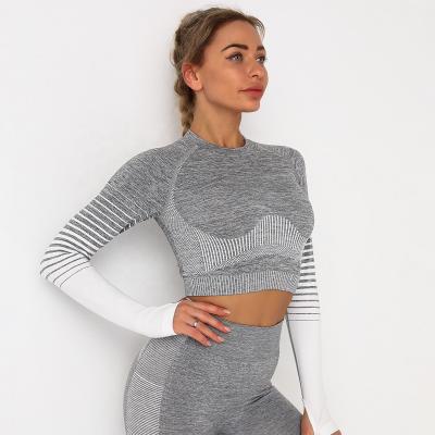 China Breathable Women Longsleeves Crop Tops Striped Stretchy Sports Yoga Tops Workout Yoga Tops for sale