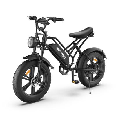 China Steel Bike 48V 750W 20 Inch Electric Bike Mountain Bike for sale