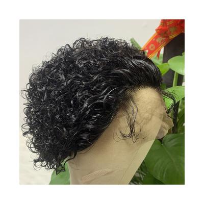 China Lace Front Wig Competitive Price Wig 150% Picture Style For Black Women Brazilian Hair Wig Pre Plucked Curly for sale