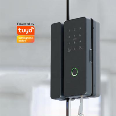 China Tuya Frameless Glass App wifi aluminum smart door lock sliding door lock with fingerprint password IC cards keys unlock for sale