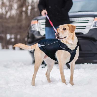 Cina Rivestimento impermeabile del cane, cappotto del cane allineato vello molle per l'inverno in vendita